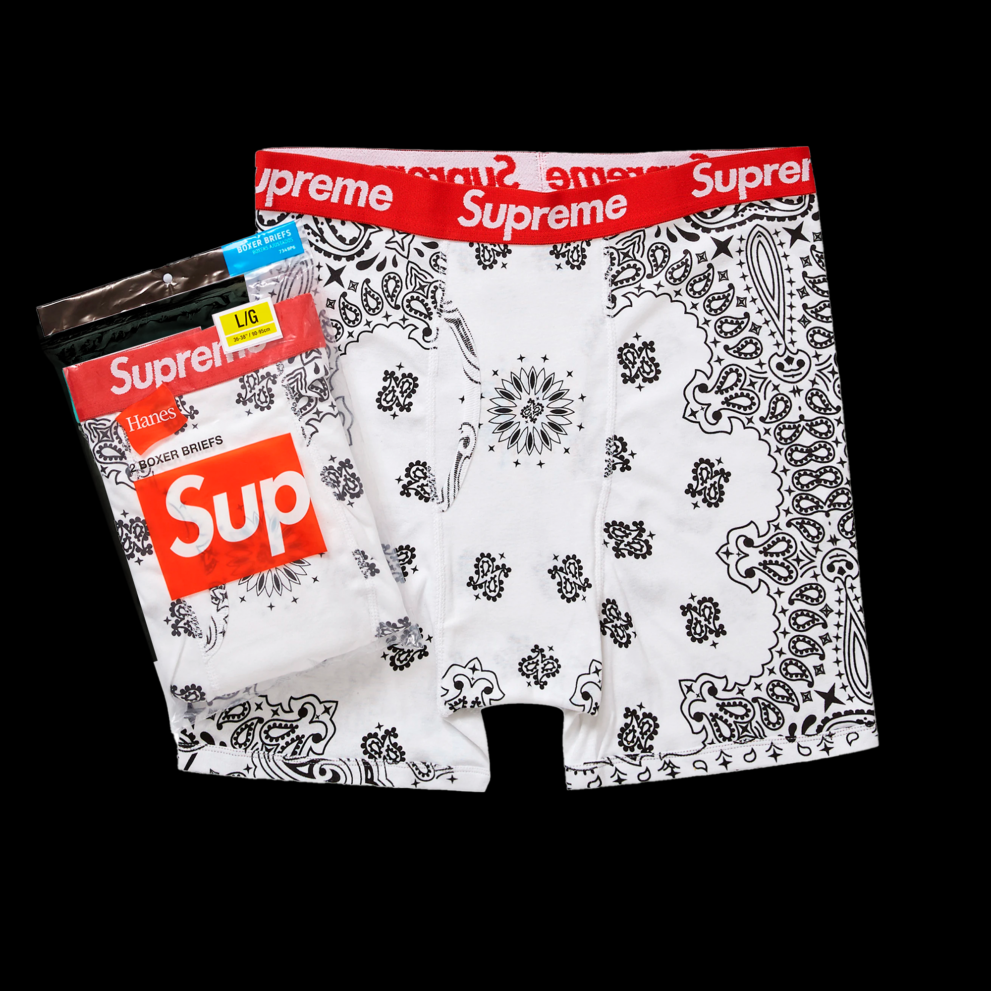 Supreme Hanes Bandana Boxer Briefs (2 Pack) White